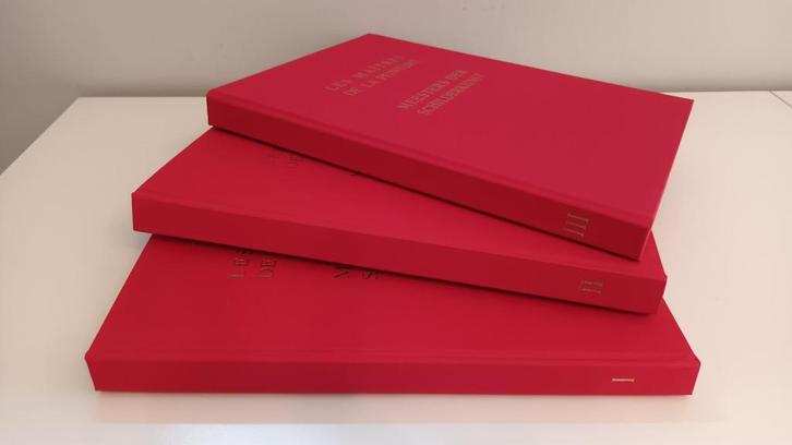 Prentenboek Soubry, Boeken, Prentenboeken en Plaatjesalbums, Zo goed als nieuw, Prentenboek, Ophalen of Verzenden