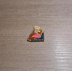 PIN - LANZAROTE - CANARISCHE EILANDEN - SPANJE - SPAIN, Verzenden, Gebruikt, Stad of Land, Speldje of Pin