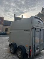 Westfalia paardentrailer in goede staat, Ophalen, Gebruikt, Polyester, 2-paards trailer