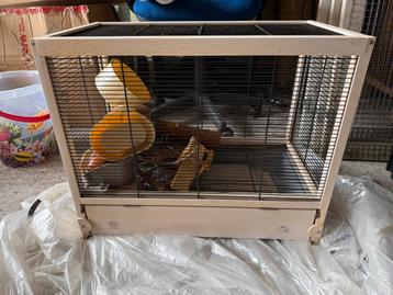 Muizen/ratten/hamster kooi met accessoires ferplast beschikbaar voor biedingen