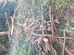 Gratis brandhout 2m3, Tuin en Terras, Brandhout, Ophalen