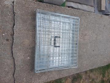 Honden ren beschikbaar voor biedingen