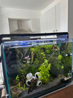 Aquarium zonder inhoud, Dieren en Toebehoren, Vissen | Aquaria en Toebehoren, Ophalen, Zo goed als nieuw