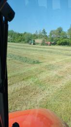 Hebje Gras om te hooien / maaien omgeving Tongeren-Birgloon, Dieren en Toebehoren