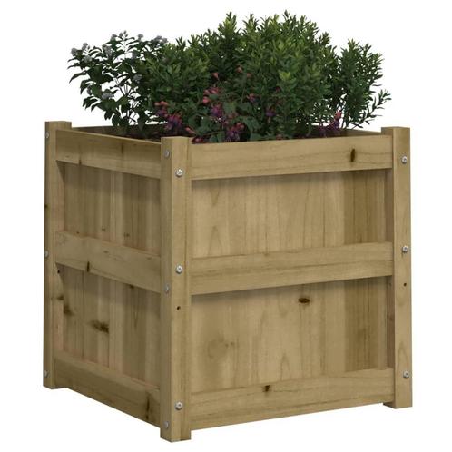 Plantenbak Ami 50x50x50 cm geïmpregneerd grenenhout, Tuin en Terras, Bloembakken en Plantenbakken, Nieuw, Hout, Balkon, Tuin, 30 tot 60 cm