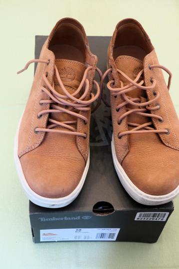 Chaussures Timberland ( sneakers ) 44