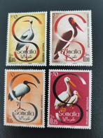 Somalie italienne 1959 - oiseaux *, Timbres & Monnaies, Timbres | Afrique, Enlèvement ou Envoi, Non oblitéré, Autres pays