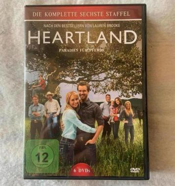 Heartland  Le paradis des chevaux, saison 6 DVD, coffret DVD disponible aux enchères