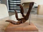 Velociraptor replica poot / dinosaurus, Verzamelen, Ophalen of Verzenden