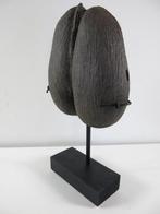 Sea Coconut Coco de Mer 26x23x6,5 cm +staander, Verzamelen, Ophalen of Verzenden, Gebruikt