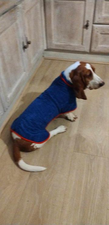 Peignoir et serviette pour chien à séchage rapide, Enlèvement ou Envoi, Neuf