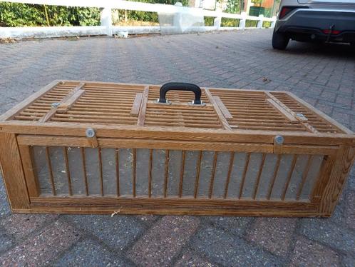 Duivenmanden Set: 75 euro, Dieren en Toebehoren, Vogels | Duiven