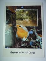 Postkaart: Bivak 't Driege, Gelopen, Ophalen of Verzenden, Limburg, 1980 tot heden