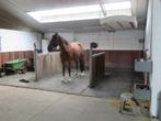 paardenboxen (luxe - groot) te huur 6 stuks Beveren, Weidegang, 4 paarden of pony's of meer