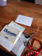 HOBBY 595CM camper 74.000km! Carpass!, Buscamper of Camperbus, Ringverwarming, Fiat, Hobby