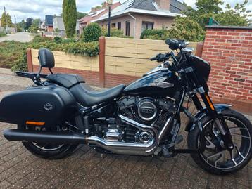 Harley Davidson Sport Glide, Particulier