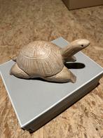 Deco tortue en bois, Ophalen of Verzenden