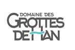 2 abonnementen volwassene voor de Grotten van Han, Tickets en Kaartjes, Recreatie | Dierentuinen, Twee personen, Ticket of Toegangskaart