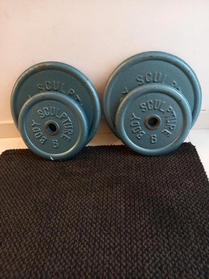 Disques en fonte, Sports & Fitness, Équipement de fitness, Utilisé, Plaques d'haltères, Enlèvement