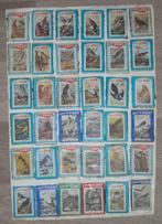 Luciferdoos frontjes, Ophalen of Verzenden, Luciferdoosjes of -merken