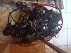 BMW M3 E46 Harman Kardon elektrische kabelboom, Auto-onderdelen, Ophalen, Gebruikt, BMW