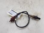 SONDE LAMBDA Volkswagen Polo VI (AW1) (|04E906262AR|), Utilisé, Volkswagen
