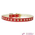 Collier + laisse avec strass, Ophalen, Nieuw, Hondenriem