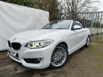 BMW 218 Cabriolet *LED*BI XENON*CUIR*NAVIGATIONPDC*, Autos, BMW, Cuir, Entreprise, Cabriolet, Boîte manuelle