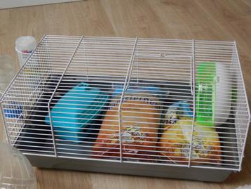 Hamsterkot en starterspakket beschikbaar voor biedingen