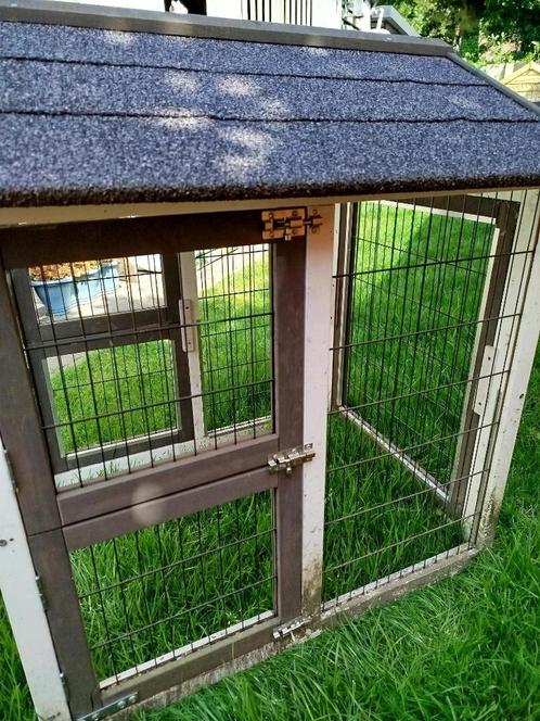 kippenren small, Dieren en Toebehoren, Pluimvee, Kip, Meerdere dieren