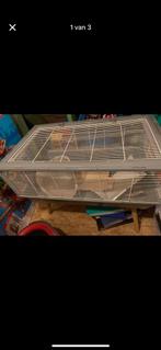 Hamsterhok op poten, Dieren en Toebehoren, Ophalen, Zo goed als nieuw, Hamster