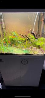Zoetwateraquarium, Ophalen, Zo goed als nieuw