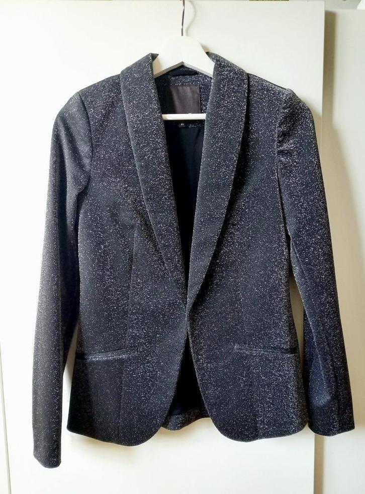 ZILVEREN GLITTER BLAZER – (GEKLEED OF CASUAL) NIEUW!, Kleding | Dames, Truien en Vesten, Nieuw, Ophalen of Verzenden