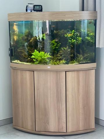 aquarium, Enlèvement, Neuf, Aquarium d'eau douce rempli