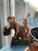 Opgezette rode eekhoorn-taxidermie, Verzamelen, Dierenverzamelingen, Ophalen of Verzenden, Zo goed als nieuw, Overige soorten