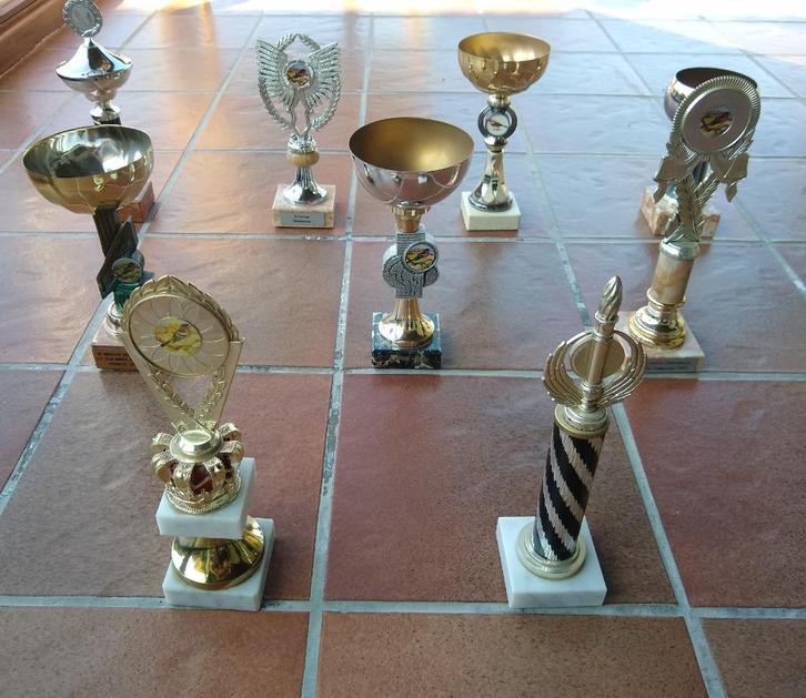 Trofeeën/wedstrijdbekers/prijsbekers/awards - zo goed als ni, Hobby en Vrije tijd, Overige Hobby en Vrije tijd, Zo goed als nieuw