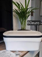 Tupperware breadsmart plus 60euro Nieuw, Ophalen of Verzenden, Nieuw