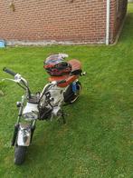 Honda dax 50cc klasse b, Fietsen en Brommers, Brommers | Honda, Ophalen, Gebruikt, Overige modellen, Klasse B (45 km/u)