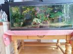 aquariums, Dieren en Toebehoren, Ophalen, Zo goed als nieuw, Grind, Zand of Voedingsbodem