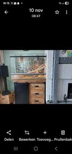 Terrarium 1mx50 diep en 70 hoog, Ophalen, Gebruikt, Terrarium of Paludarium