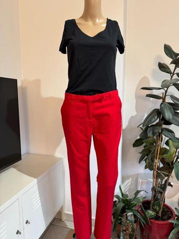 Beautiful red bootcut pants in cotton (size S/M)  beschikbaar voor biedingen