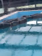 winterdrijver zwembad 10 stuks, Tuin en Terras, Ophalen, Gebruikt, Overige typen