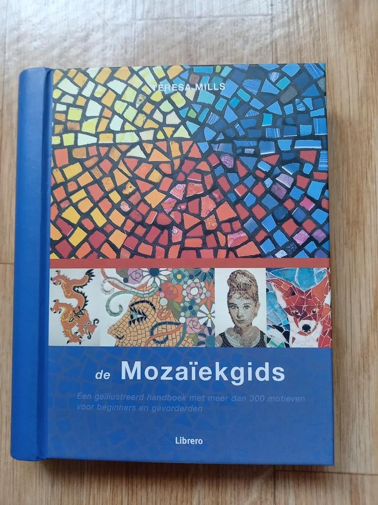 De MoZaIeKgIdS, Boeken, Hobby en Vrije tijd, Nieuw, Ophalen of Verzenden