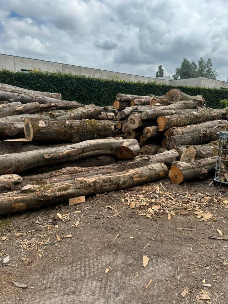 Brandhout, Tuin en Terras, Brandhout, Ophalen