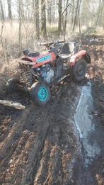 race zitmaaier, Jardin & Terrasse, Tondeuses autoportées, Enlèvement