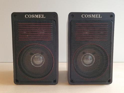 2 luidsprekers / speakers Cosmel HF 100, Audio, Tv en Foto, Luidsprekerboxen, Ophalen of Verzenden