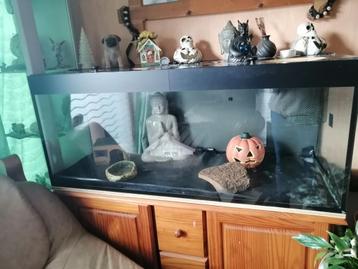 Terrarium à vendre  beschikbaar voor biedingen