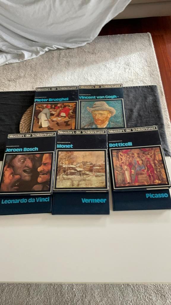 Meesters der schilderkunst. Serie 8 boeken., Boeken, Kunst en Cultuur | Beeldend, Gelezen, Schilder- en Tekenkunst, Ophalen