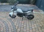 Honda MSX 125 grom, Motoren, Particulier, 125 cc, 11 kW of minder, 1 cilinder