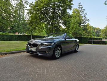 BMW 218i Cabriolet Automaat Camera Leer Sportzetels beschikbaar voor biedingen